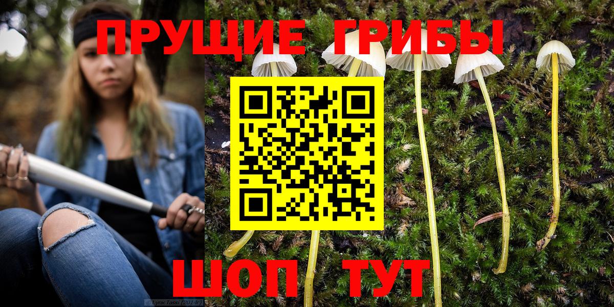 Гатчина  Псилоцибиновые грибы мухоморы  что такое наркотик  Псилоцибиновые грибы Psilocybe  Вход с VPN 